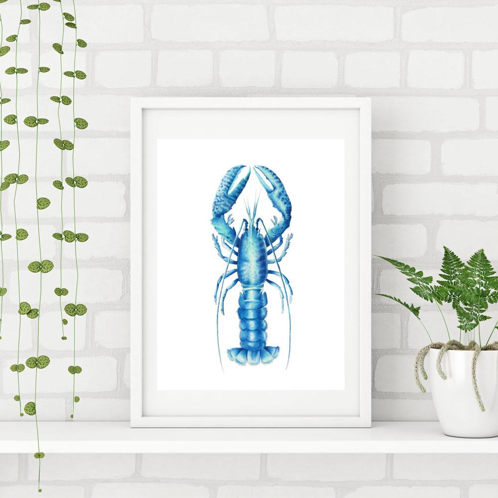 3 ART PRINTS FISH, SEAWEED AND CRAYFISH - Artista Style