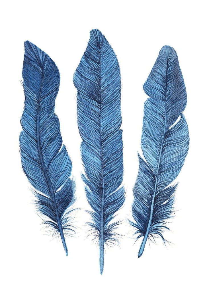 Aqua Feathers Art Print - Artista Style