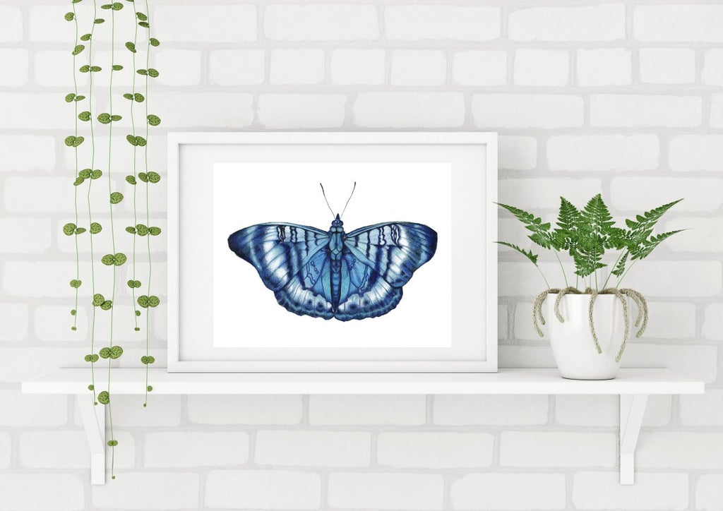 Blue Butterfly Watercolour Limited Edition Art Print - Artista Style