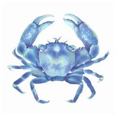 Blue Crab Art Print - Artista Style