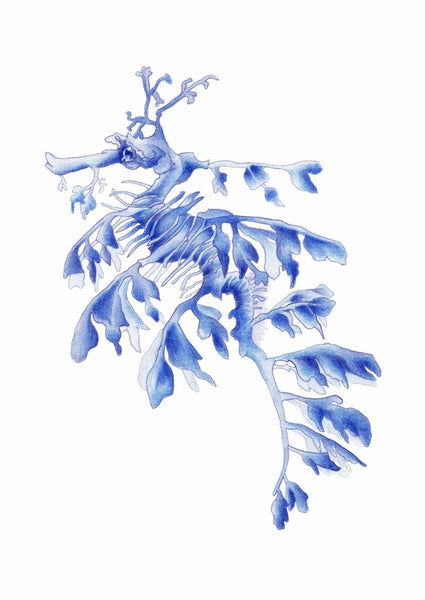 Blue Leafy Sea Dragon Seahorse Watercolor Art Print Hamptons Style Decor - Artista Style