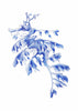 Blue Leafy Sea Dragon Seahorse Watercolor Art Print Hamptons Style Decor - Artista Style