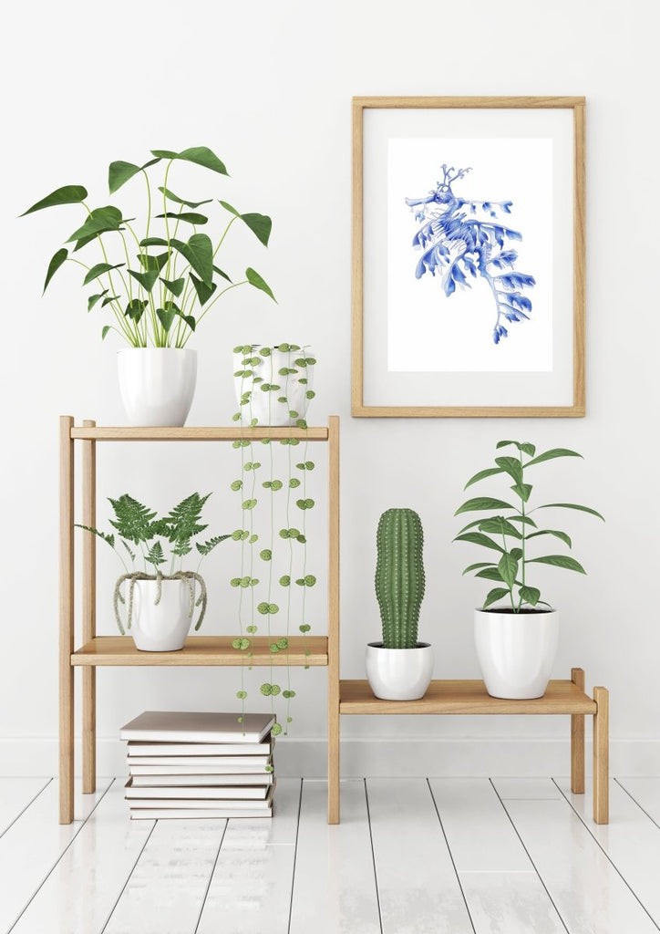 Blue Leafy Sea Dragon Seahorse Watercolor Art Print Hamptons Style Decor - Artista Style