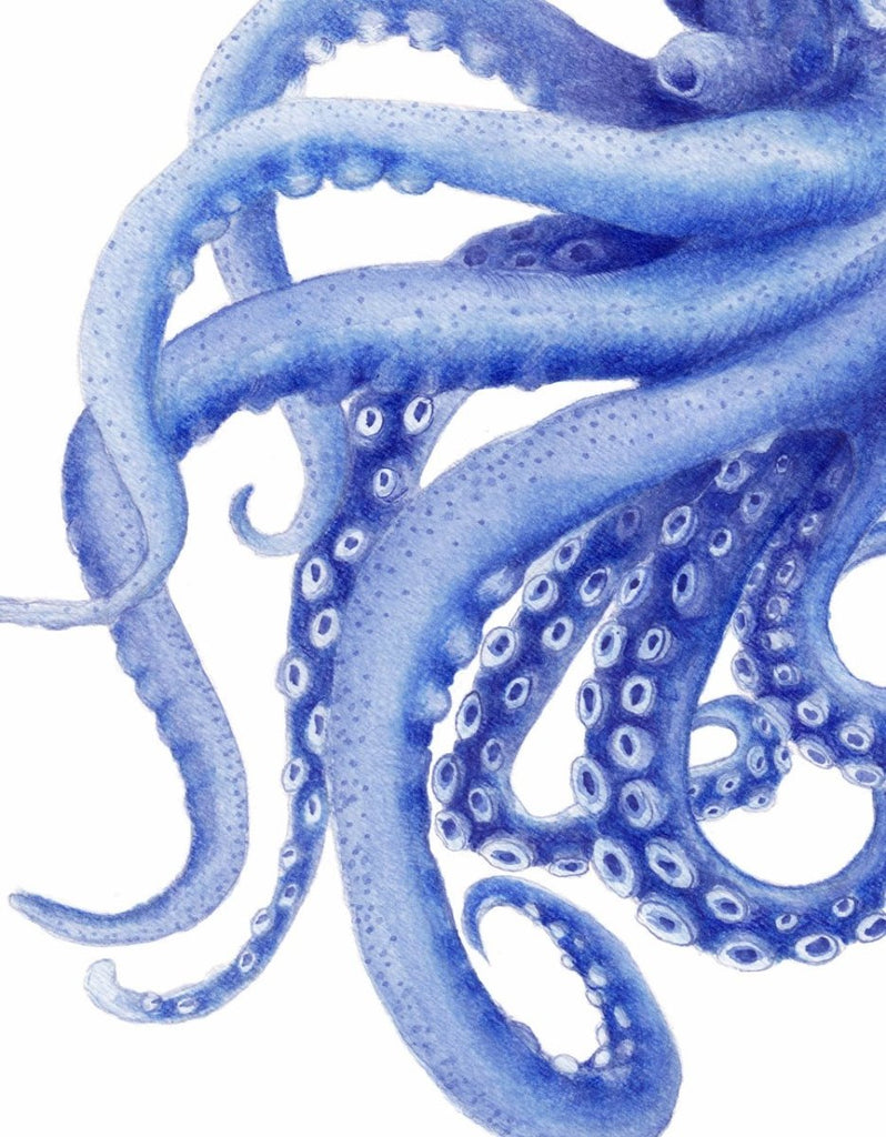 Blue Octopus Watercolor Illustration Archival Art Print 'Tentacles' Coastal Decor Artwork - Artista Style