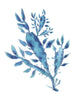 Blue Seaweed Art Print - Artista Style