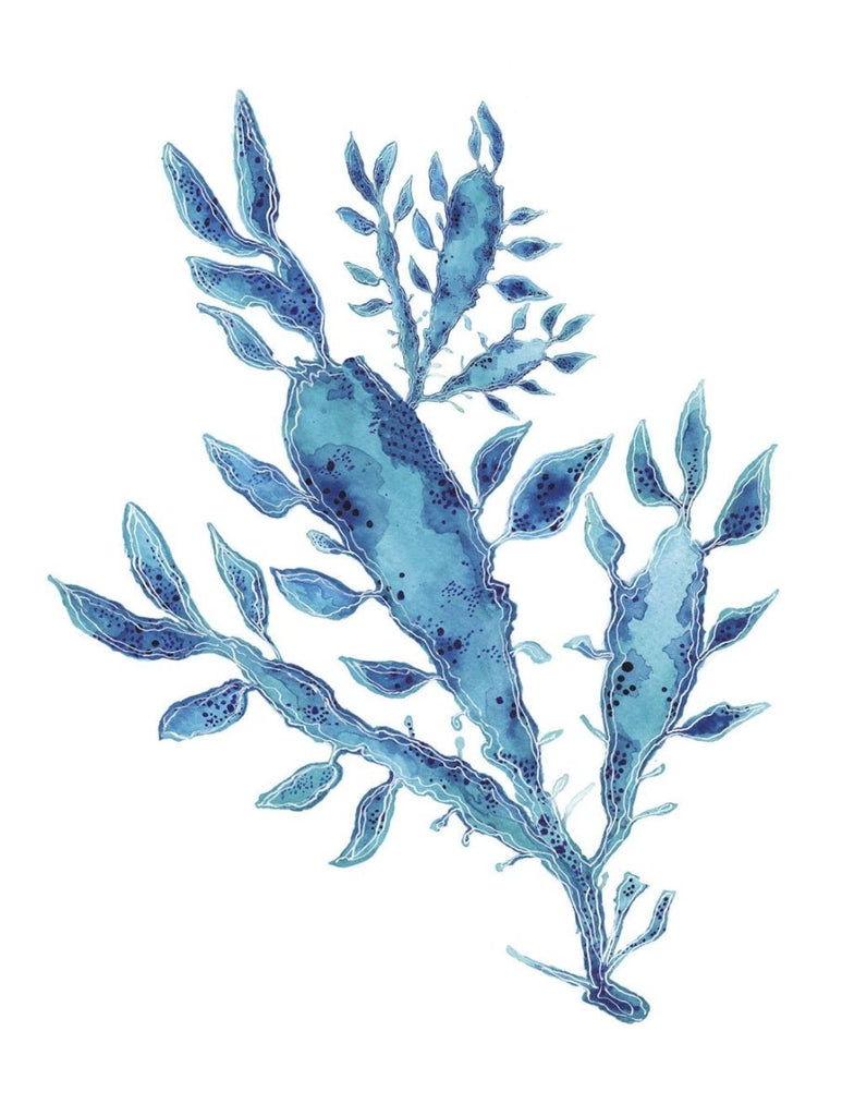 Blue Seaweed Art Print - Artista Style