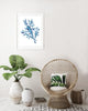 Blue Seaweed Art Print of an Original Watercolour Painting Coastal Art Ocean Decor - Artista Style