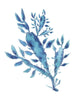 Blue Seaweed Art Print of an Original Watercolour Painting Coastal Art Ocean Decor - Artista Style
