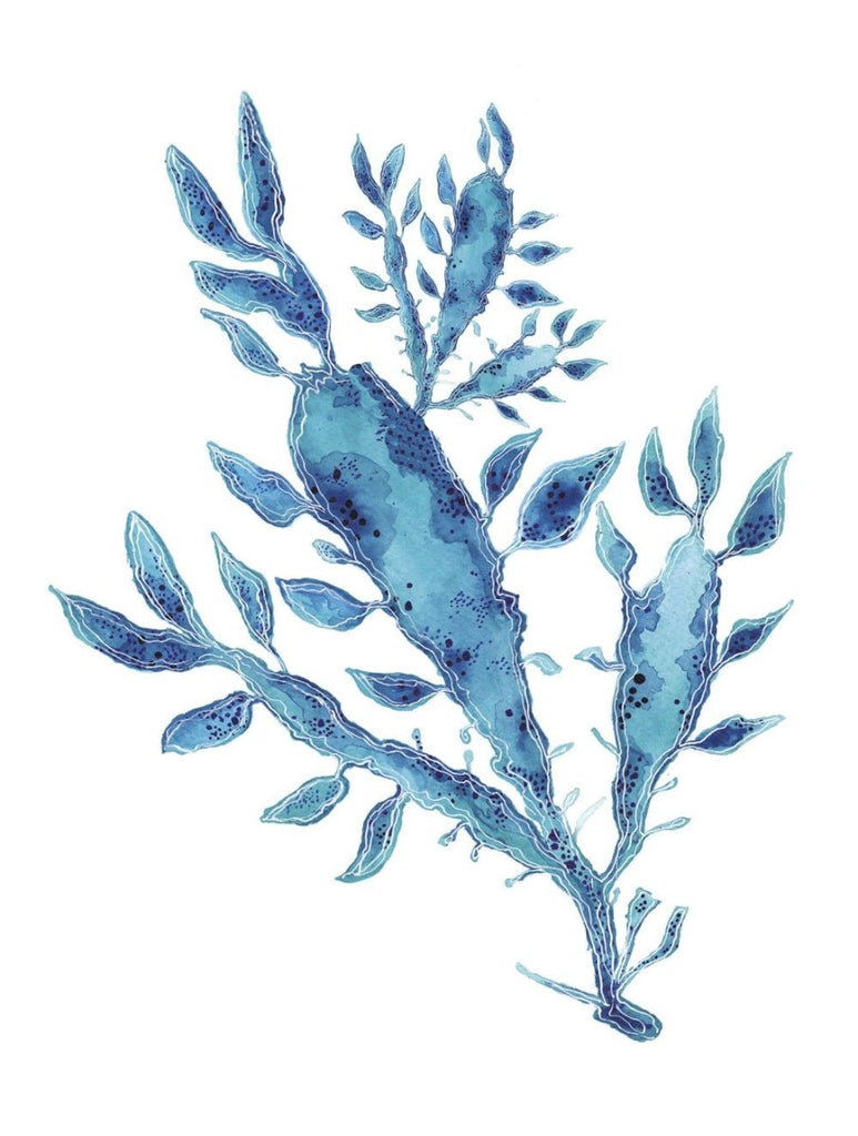 Blue Seaweed Art Print of an Original Watercolour Painting Coastal Art Ocean Decor - Artista Style