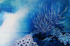 Blue turquoise and white painting inspired by organic forms and the ocean. 60 x 90 cms original Australian Art. Artista Style