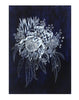 Blue White Waratah Woodblock Painting 25x35cms No 26 - Artista Style