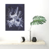 Blue White Waratahs Woodblock Painting 25x35cms No 24 - Artista Style