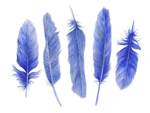 Five Blue Feathers Watercolor Art Print Shibori Blue Hamptons Style Artwork - Artista Style