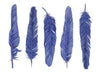 Five Shibori Blue Feathers Art Print Indigo Blue - Artista Style
