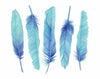 Five Turquoise Feathers Art Print - Artista Style