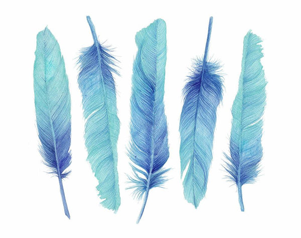 Five Turquoise Feathers Watercolor Painting Art Print Hamptons Style Decor Original Art - Artista Style