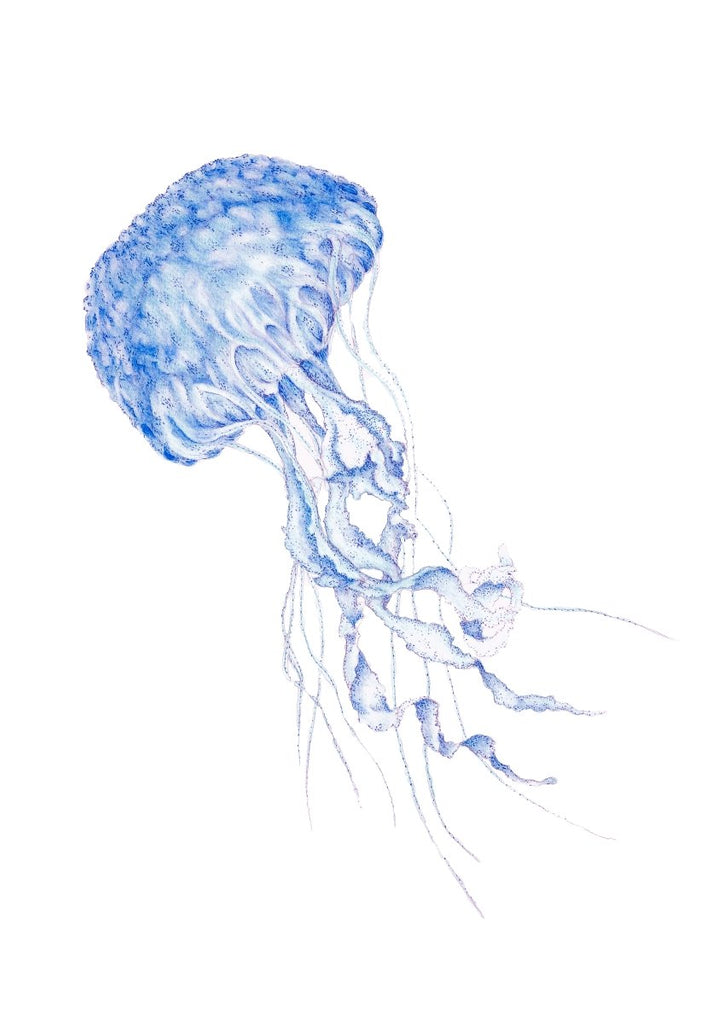 Jellyfish Watercolour Art Print Coastal Style Decor - Artista Style