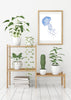 Jellyfish Watercolour Art Print Coastal Style Decor - Artista Style