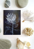 King Protea Woodblock Painting 25x35cms No 12 - Artista Style