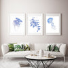 Lions mane Jellyfish Watercolour Art Print Coastal Boho Australian Style - Artista Style