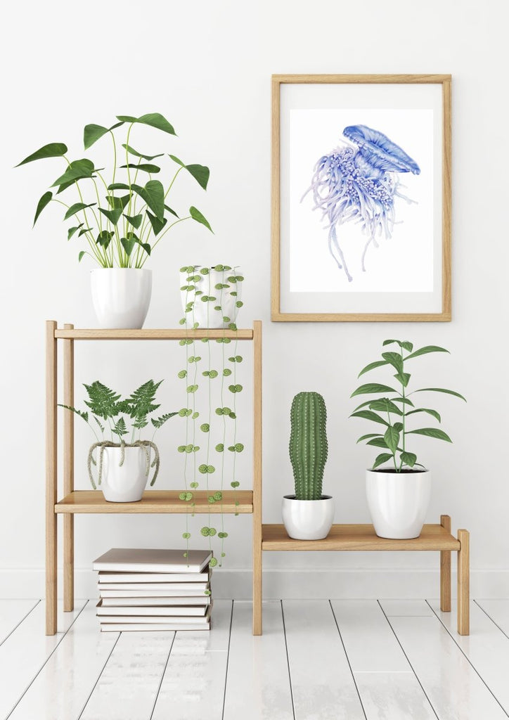 Lions mane Jellyfish Watercolour ART PRINT SALE - Artista Style