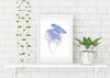 Lions mane Jellyfish Watercolour ART PRINT SALE - Artista Style