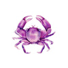 Magenta Pink Crab Art Print - Artista Style
