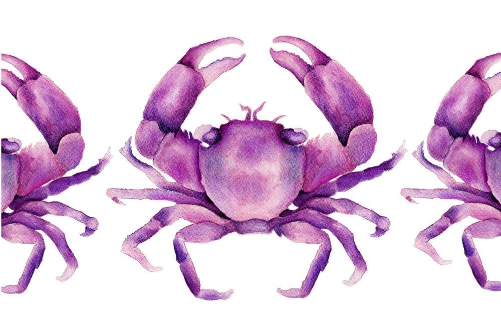 Magenta Pink Crabs Watercolour Art Print Limited Edition Coastal Art Beach House Art - Artista Style