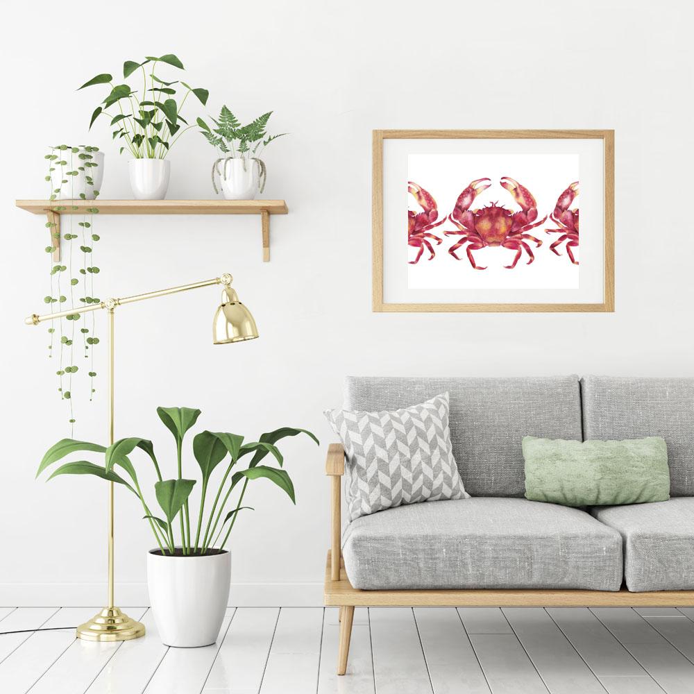 Marching Red Crabs Watercolour Art Print Limited Edition Scientific Illustration Nautical Art - Artista Style