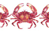 Marching Red Crabs Watercolour Art Print Limited Edition Scientific Illustration Nautical Art - Artista Style