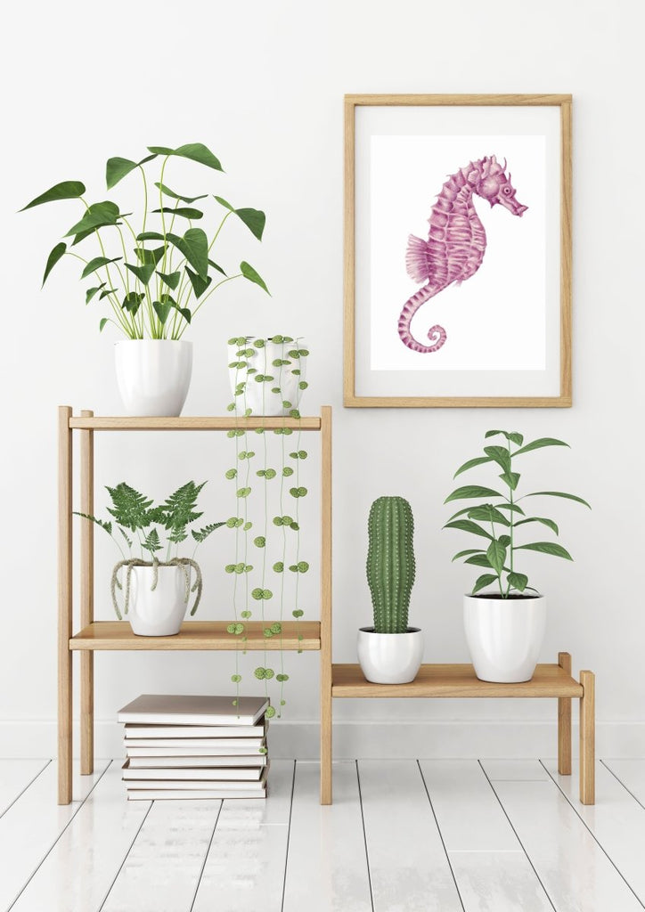 Pink Seahorse Archival Print of an Original Painting from the Coastal Style Illustration Collection - Artista Style