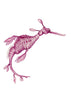 Pink Weedy Sea Dragon Art Print - Artista Style