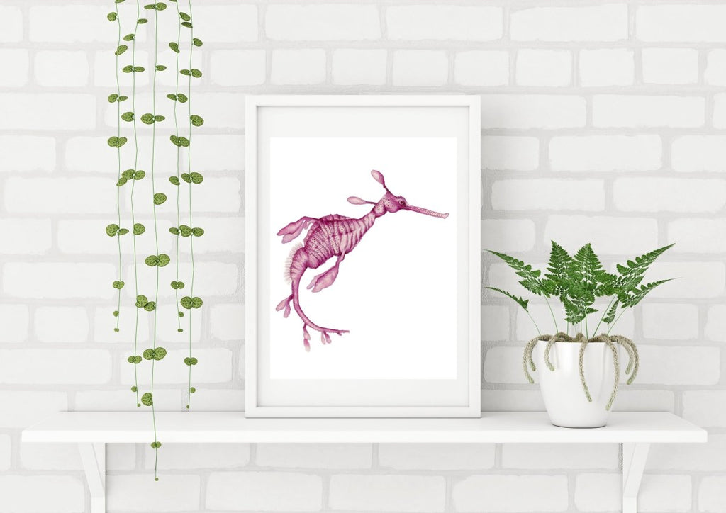 Pink Weedy Sea Dragon Art Print - Artista Style