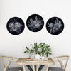 Three blue and white circular porthole paintings of native Australian wildflowers. Above a sunlit timber dining setting.