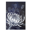 Protea Australian wildflower Indigo Blue White woodblock painting Original Australian Art - Artista Style