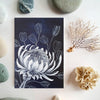 Protea Australian wildflower Indigo Blue White woodblock painting Original Australian Art - Artista Style