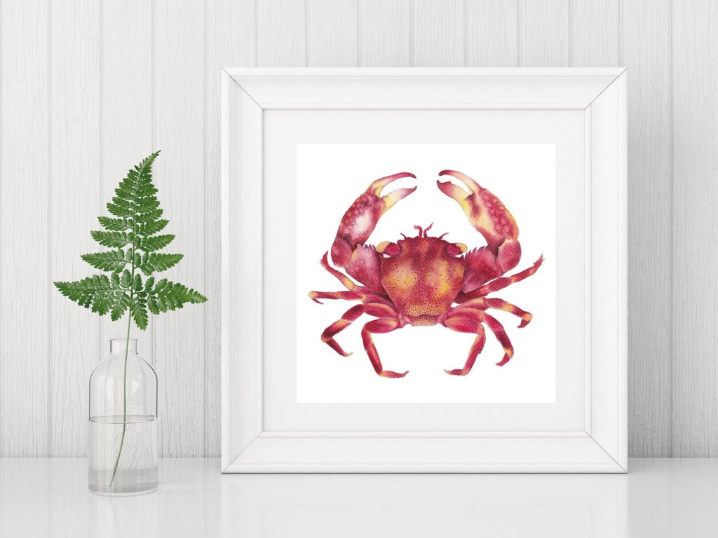 Red Crab Square Art Print Nautical Artwork - Artista Style