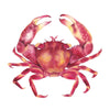 Red Crab Square Art Print Nautical Artwork - Artista Style