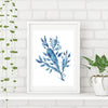 SET OF 3 ART PRINTS FISH, SEAWEED AND FEATHER - Artista Style