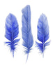 Three Blue Feathers Archival Watercolour Art Print Shibori Blue Hamptons Style Decor - Artista Style