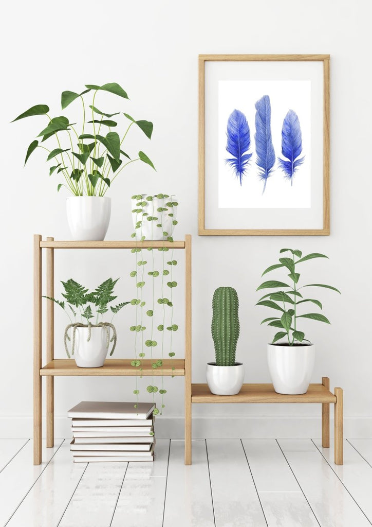 Three Blue Feathers Art Print - Artista Style