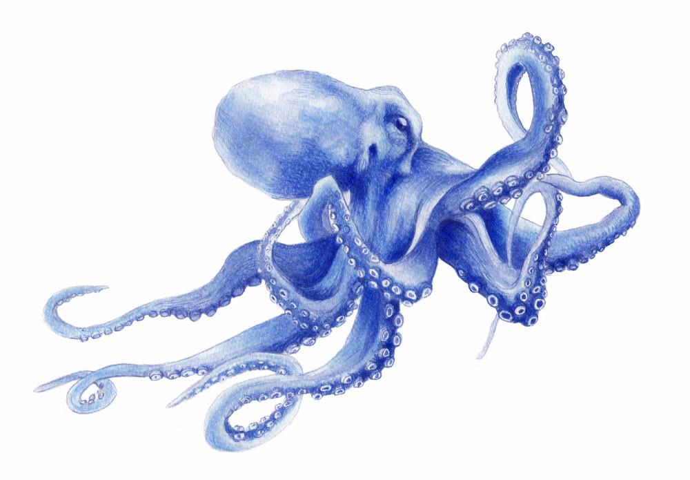 Travelling Octopus Watercolour Limited Edition Art Print Coastal Style Shibori Blue - Artista Style