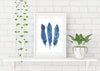 Turquoise Blue Feathers Watercolour Illustration Art Print 'Aqua Feathers’ Coastal Style Decor - Artista Style