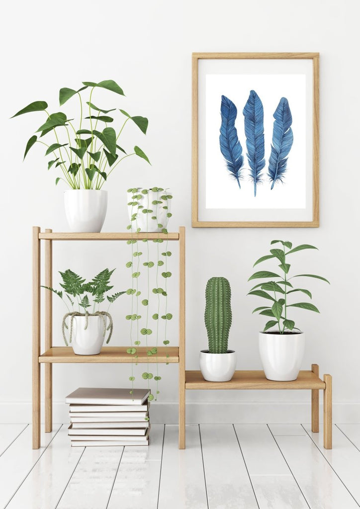 Turquoise Blue Feathers Watercolour Illustration Art Print 'Aqua Feathers’ Coastal Style Decor - Artista Style
