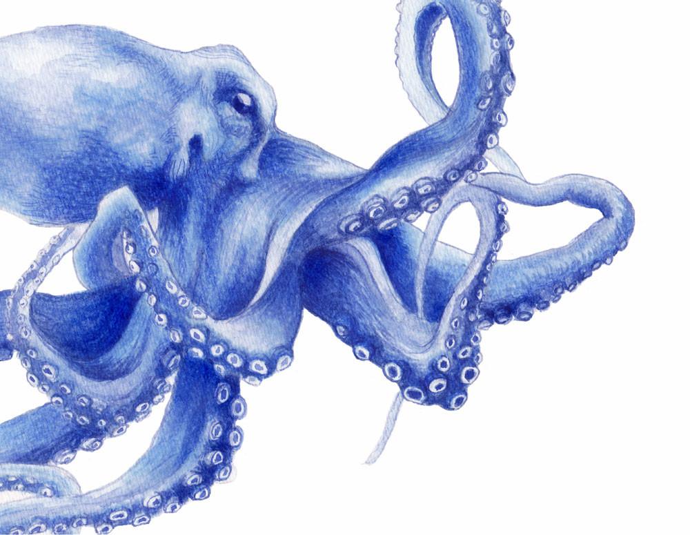 Ultramarine Octopus Watercolour Painting Archival Art Print in Shibori Blue Hamptons Style Decor - Artista Style