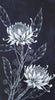Waratah flowers Woodblock Painting Indigo Blue White 14 x 25cm No 22 - Artista Style